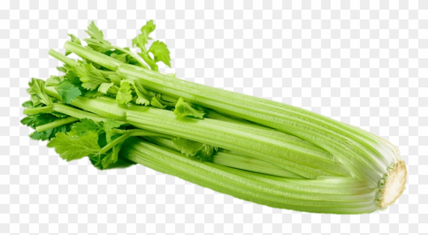 Celery - Celery Png Clipart