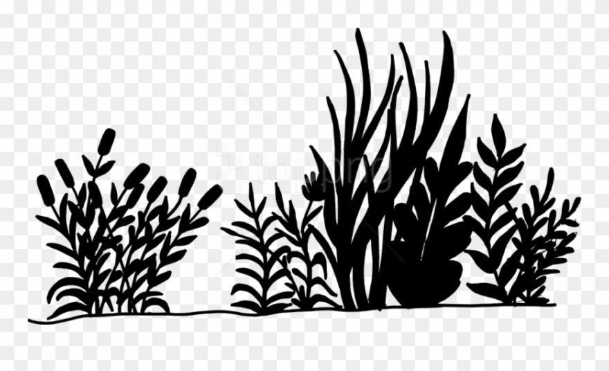 Free Png Nature Background Silhouette Png Images Transparent - Vegetation Silhouette Png Clipart