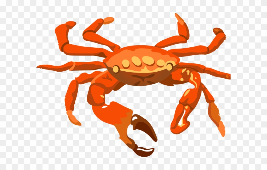 Crab Clipart Transparent Background - Crab Transparent - Png Download
