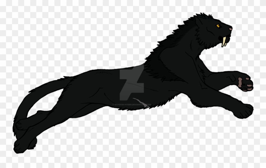 1146 X 697 5 - Illustration Clipart