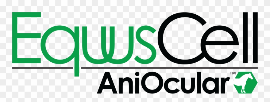 Equuscell Aniocular For Eye Wounds And Descemetocele - Circle Clipart