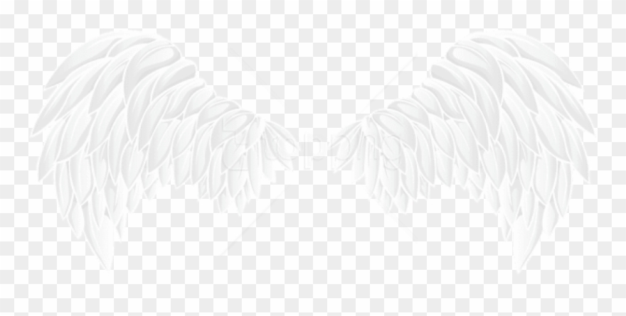 Free Png Download White Wings Clipart Png Photo Png - White Wings Png Transparent Png
