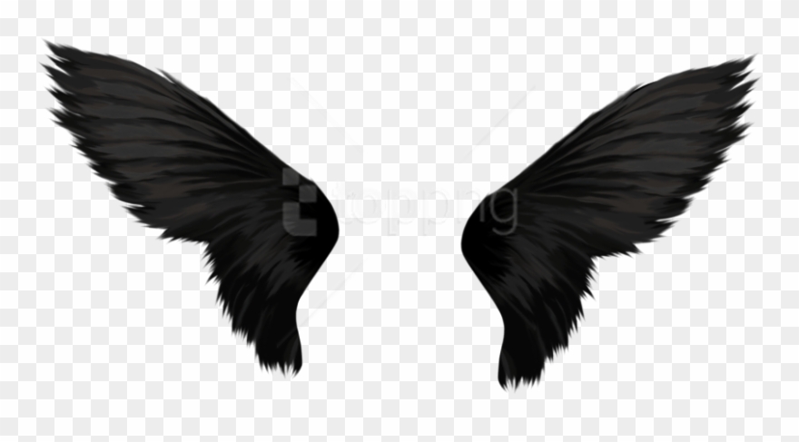 Free Png Download Black Wings Png Images Background - Transparent Background Wings Png Clipart