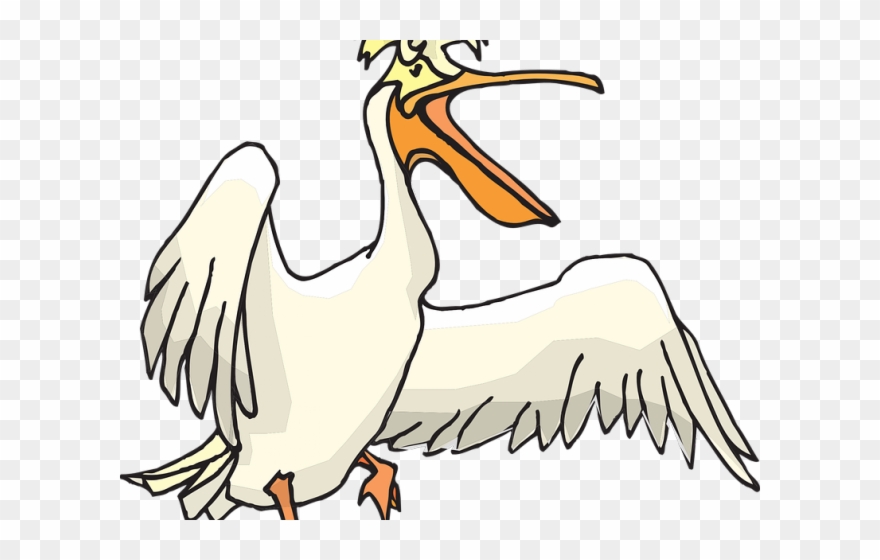Pelican Clipart Transparent - Clip Art - Png Download