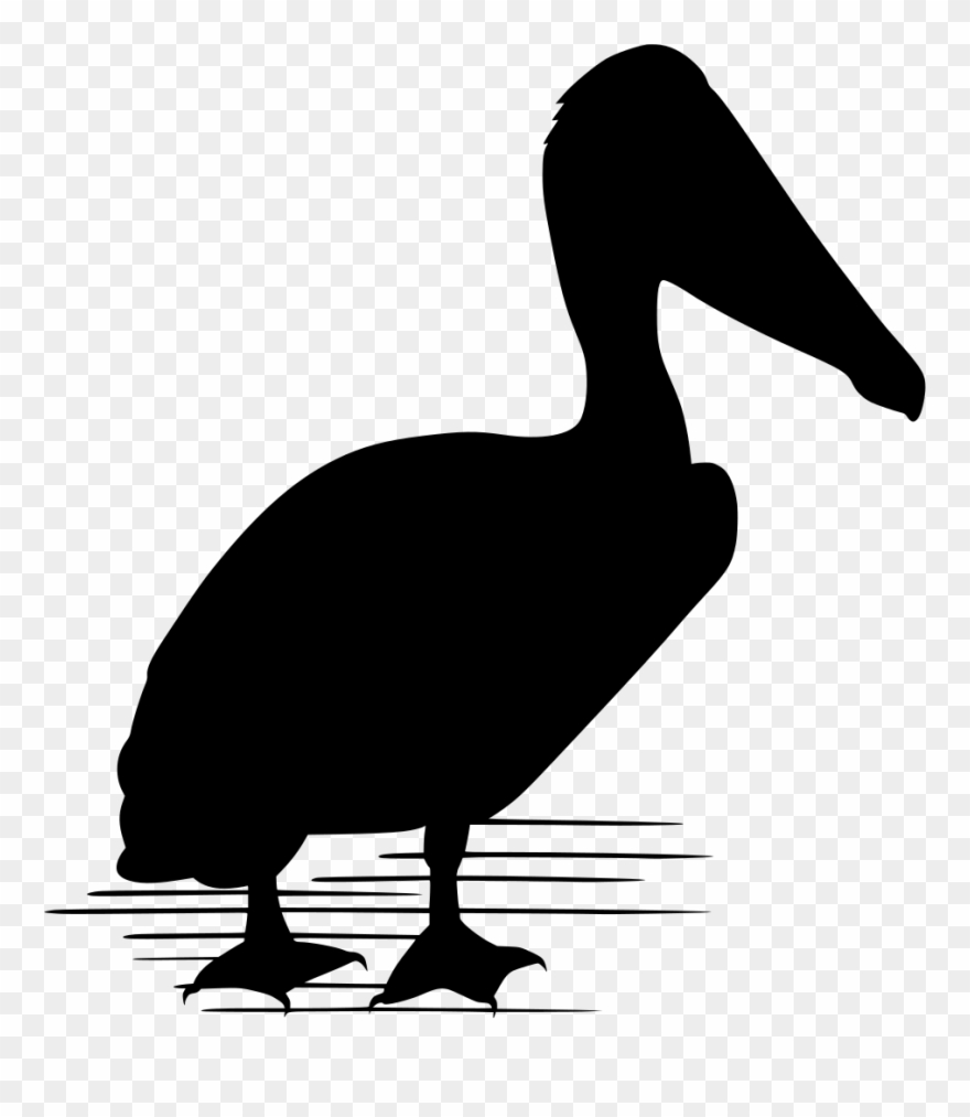 Download Png - Duck Clipart