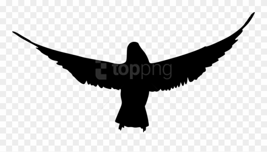 Bird Silhouette Png - Bird Silhouette Bird Png White Clipart