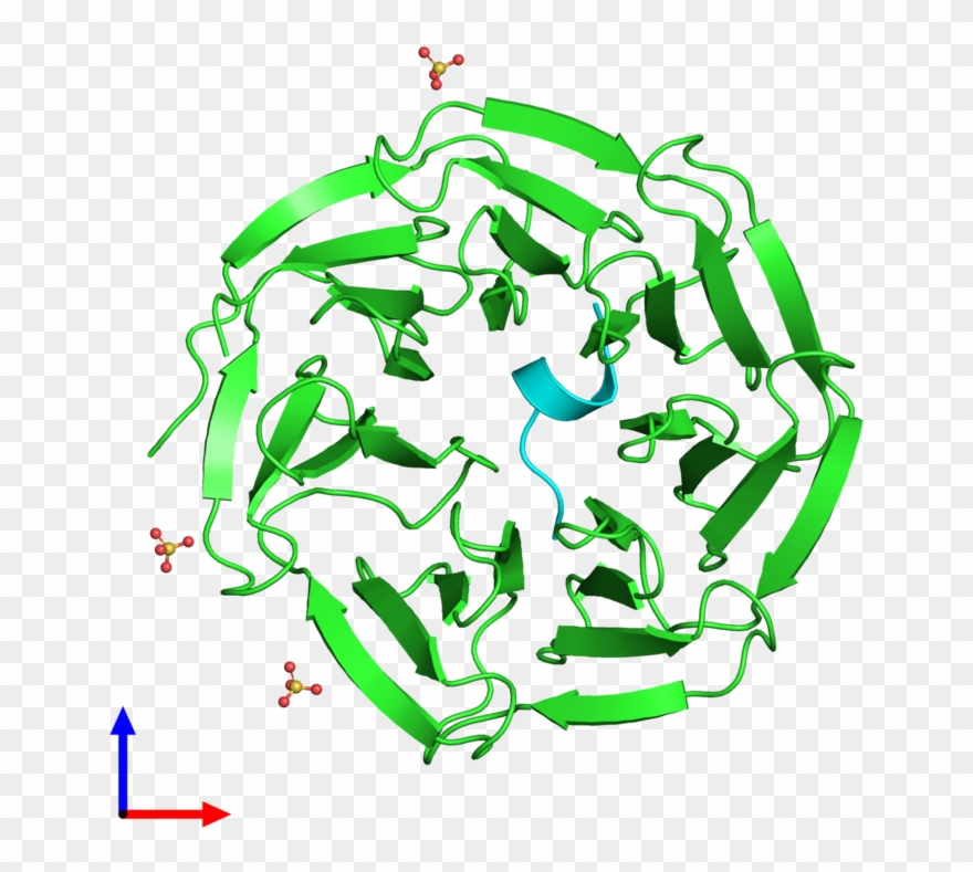Pdb 3eg6 Coloured By Chain And Viewed From The Front - Illustration Clipart