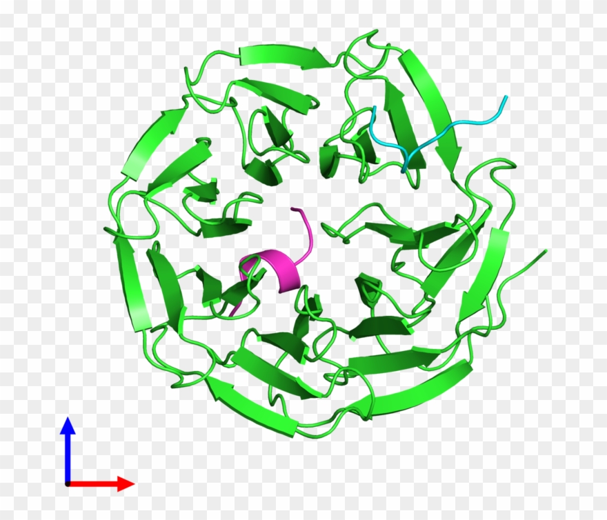 Pdb 3p4f Coloured By Chain And Viewed From The Front - Graphic Design Clipart