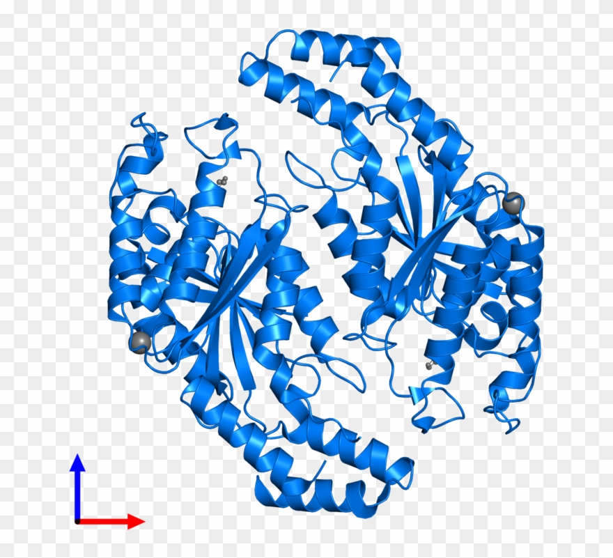 <div Class='caption-body'>pdb Entry 3gff Contains 2 Clipart