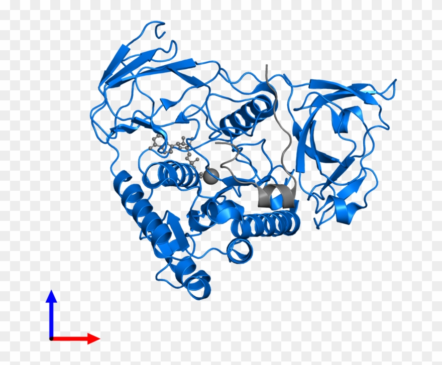 <div Class='caption-body'>pdb Entry 2npi Contains 1 - Graphic Design Clipart