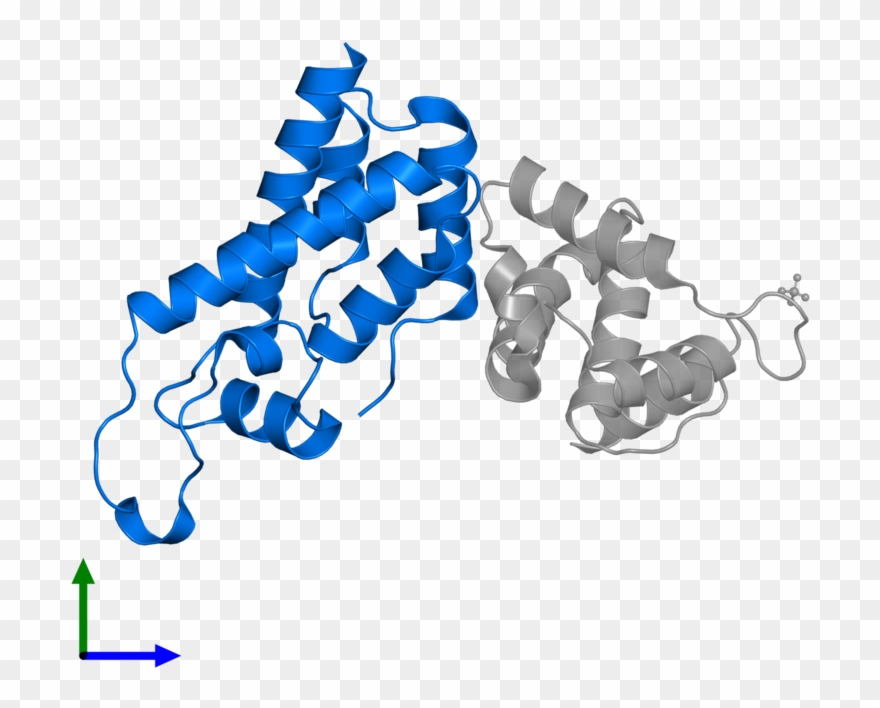 <div Class='caption-body'>pdb Entry 2gol Contains 1 Clipart