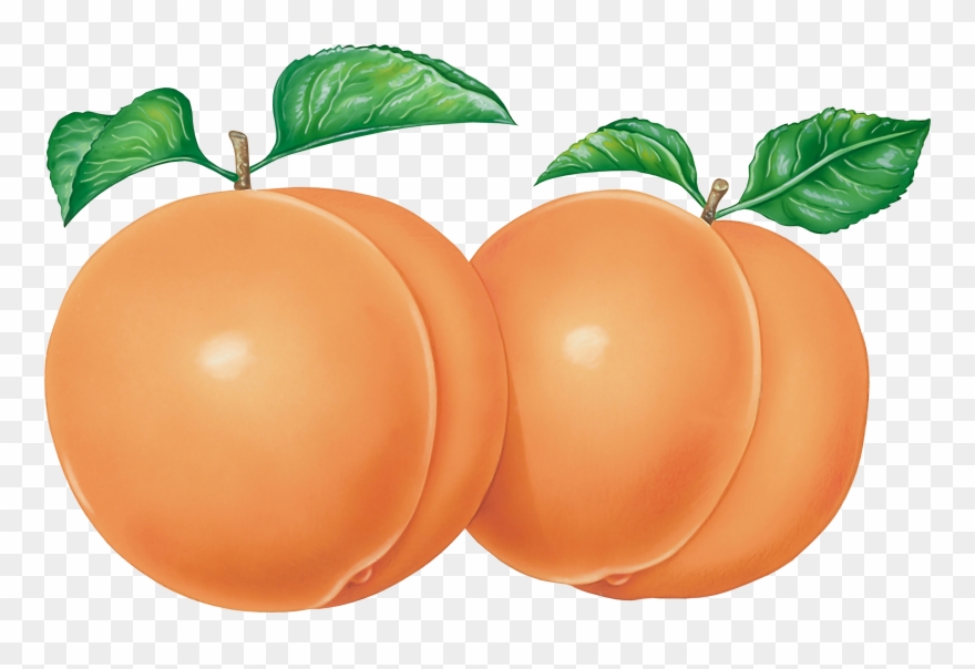 Peach Png Image - Have A Nice Day Butt Clipart