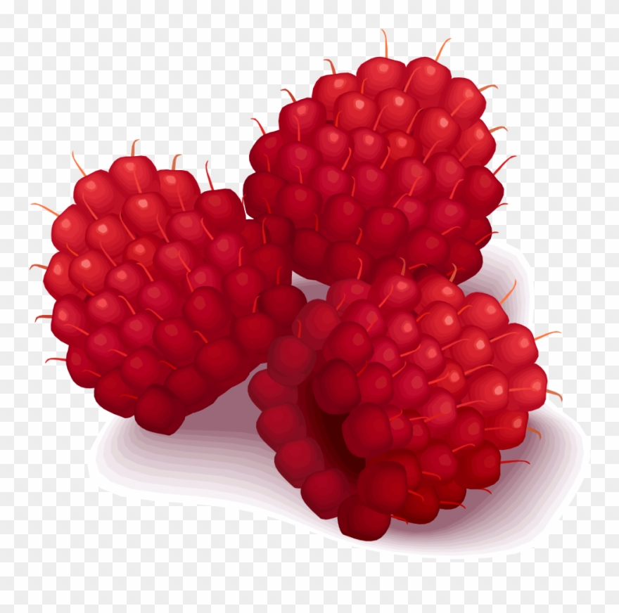 Open - Clip Art Raspberries - Png Download