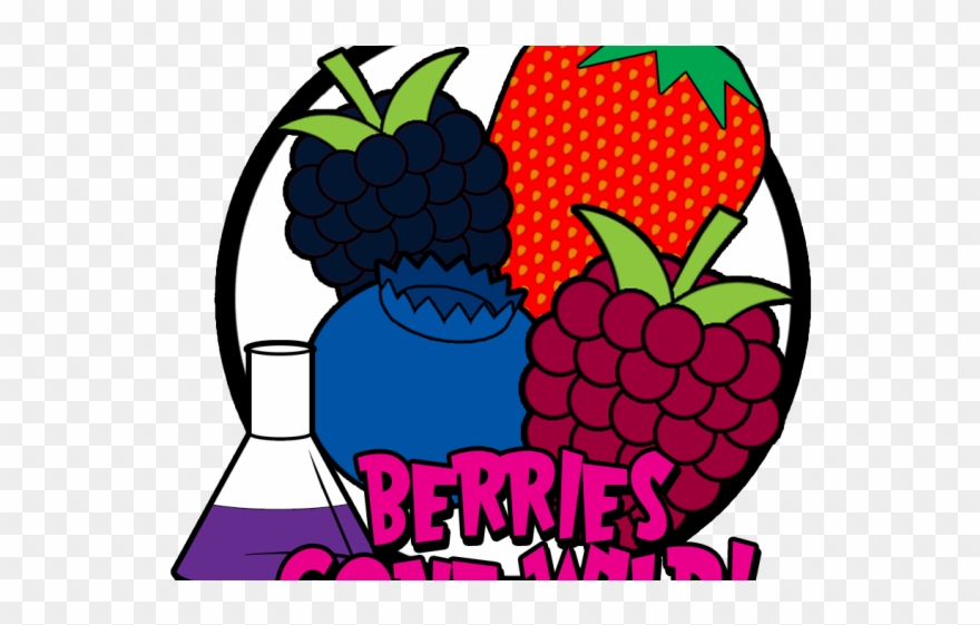 Raspberry Clipart Wild Berry - Wild Berries Cartoon - Png Download