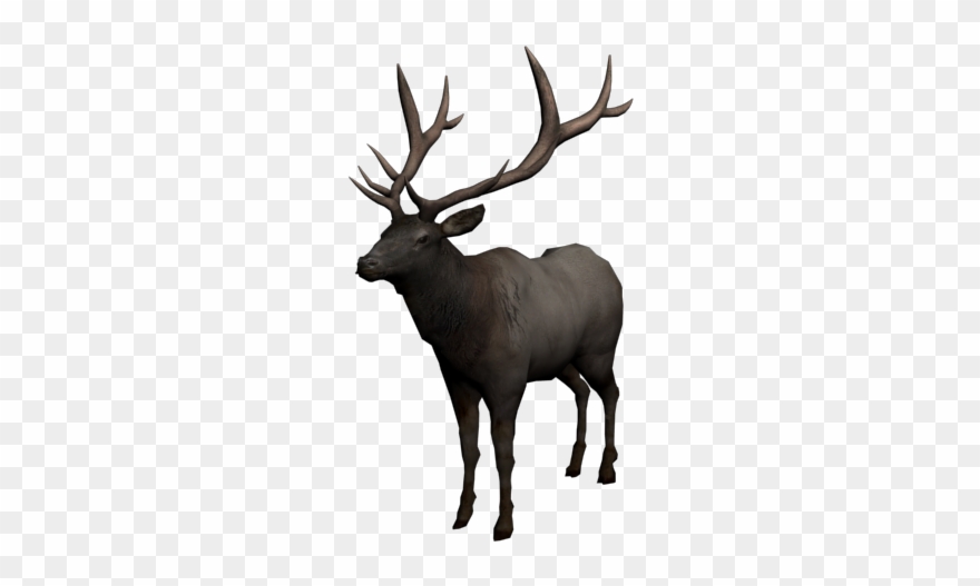 Red Dead Redemption 2 Wapiti Location Clipart