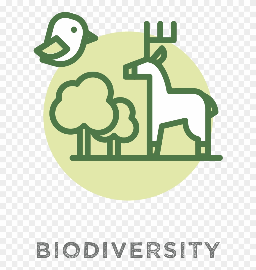 Plant Trees For Biodiversity - Nyu Clipart