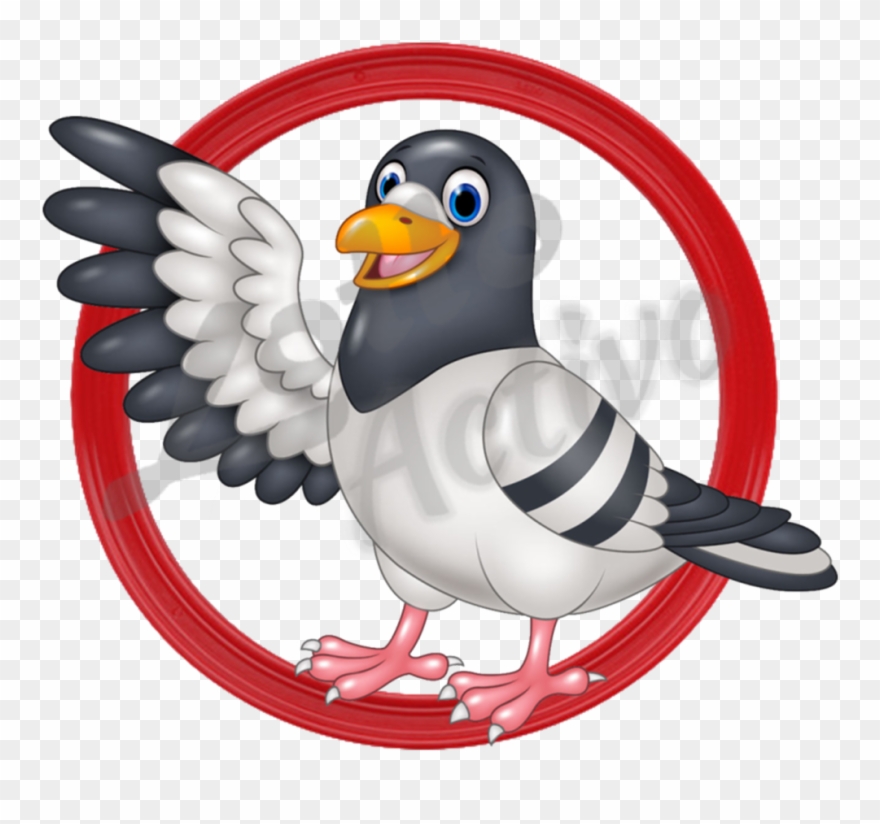 16 Replies 11 Retweets 39 Likes - Pigeon Cartoon Clipart