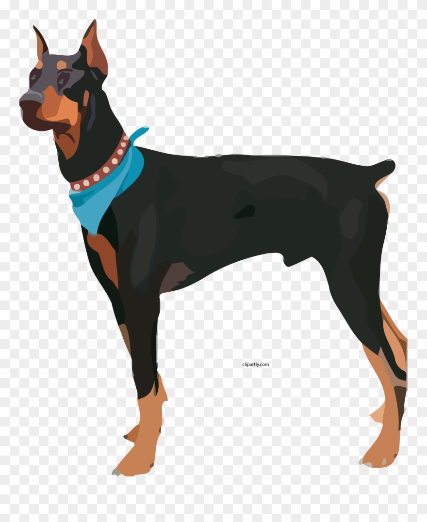 Attack Dog Clipart Png - Doberman Clipart Transparent Png