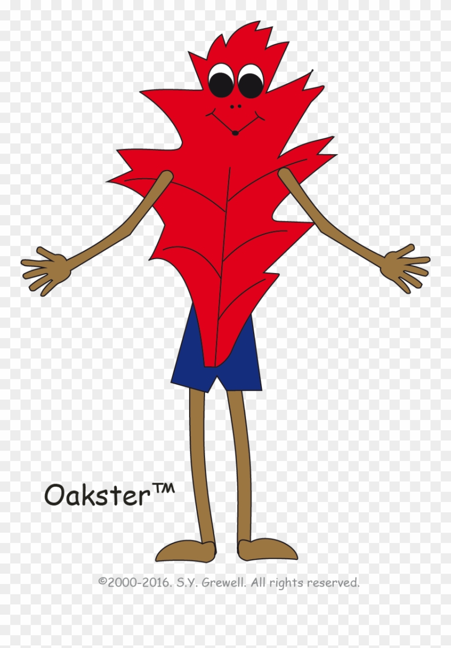 The Oak Leaf - Illustration Clipart
