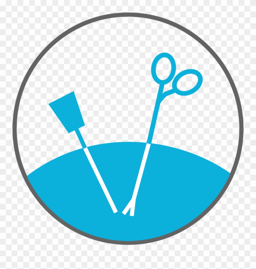 Liver Clipart Huma - Circle - Png Download