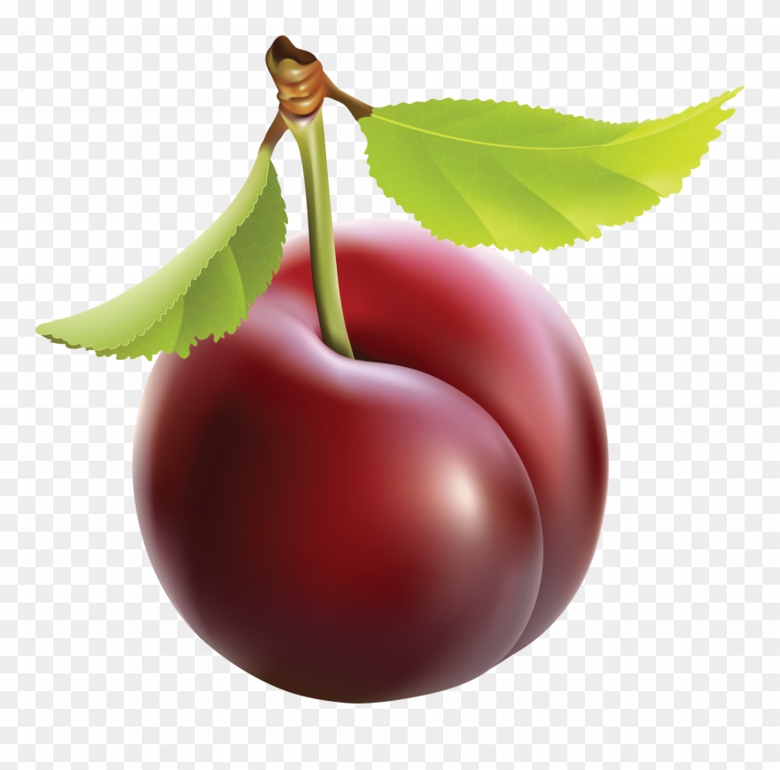 Plum Clip Art - Plum Png Transparent Png
