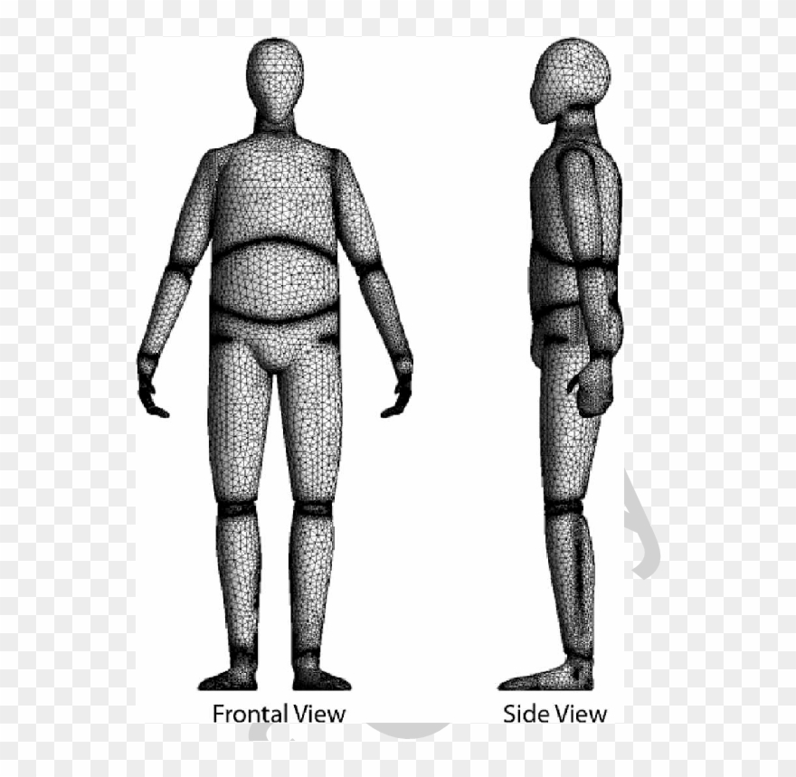 780 X 778 7 - Computer Model Of Human Body Clipart