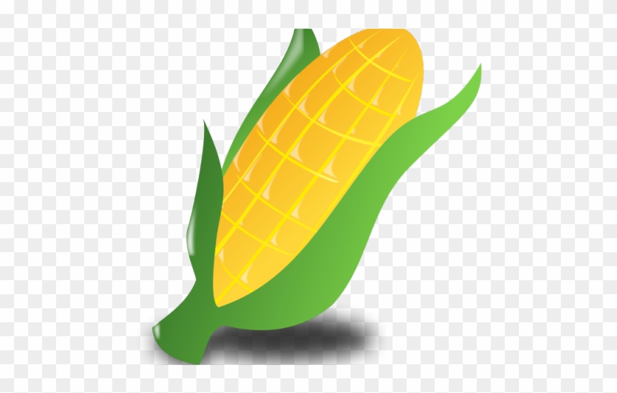 Korn Clipart Corn Boil - Clip Art - Png Download