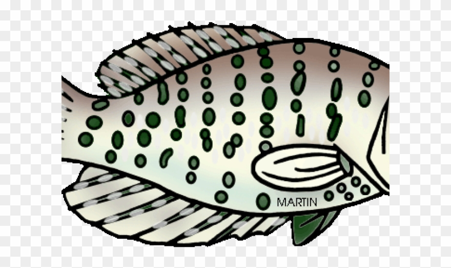 Marine Fish Clipart Fresh Water Fish - Png Download