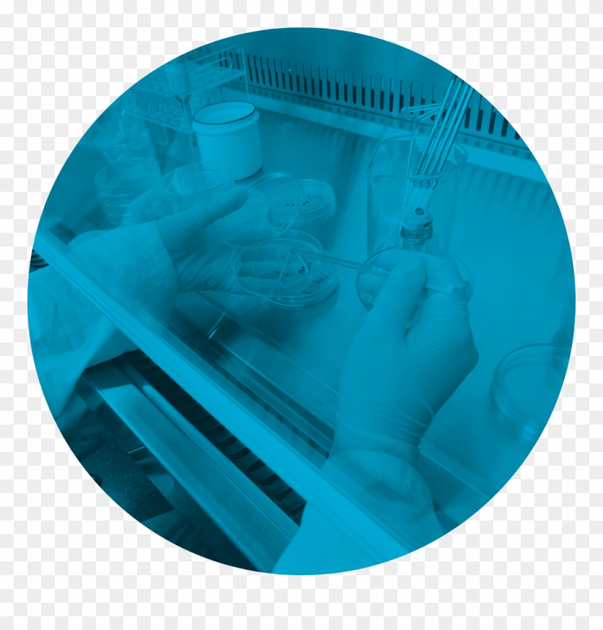 Architecture Clipart