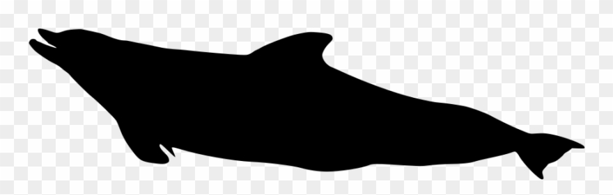 Download Png - Whale Clipart
