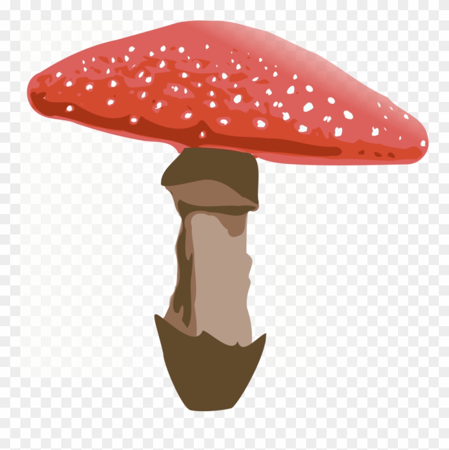 Amanita Muscaria Png File - Amanita Muscaria Png Clipart