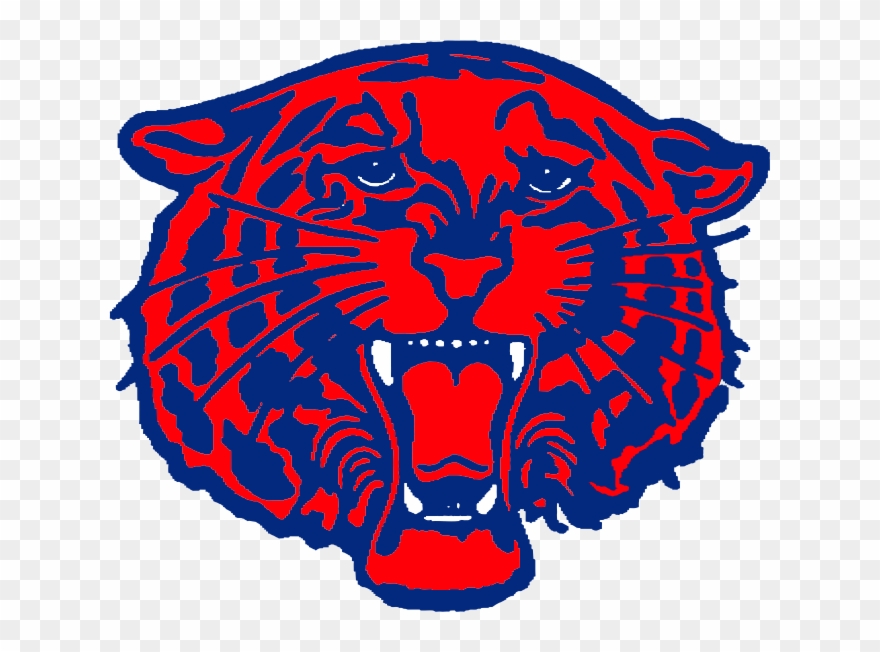 Bearcat Apparel - Clipart