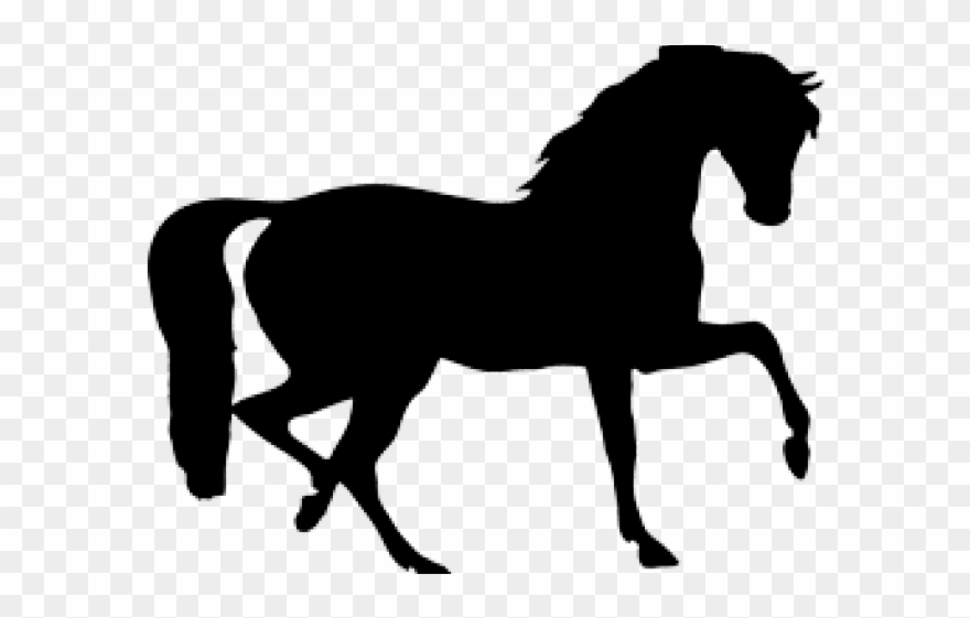 Horse Clipart Silhouette - Clip Art Horse Silhouette - Png Download