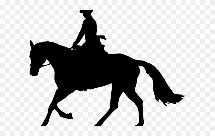 Horse Riding Clipart Transparent - Horse Silhouette Transparent Background - Png Download