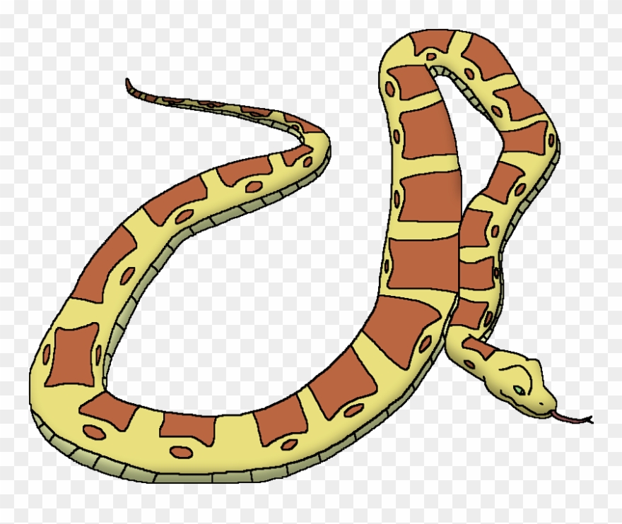 Reticulated Python - Snake Clipart