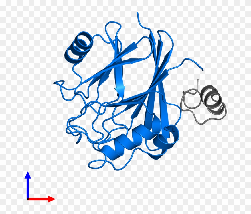 <div Class='caption-body'>pdb Entry 5gtu Contains 1 - Illustration Clipart