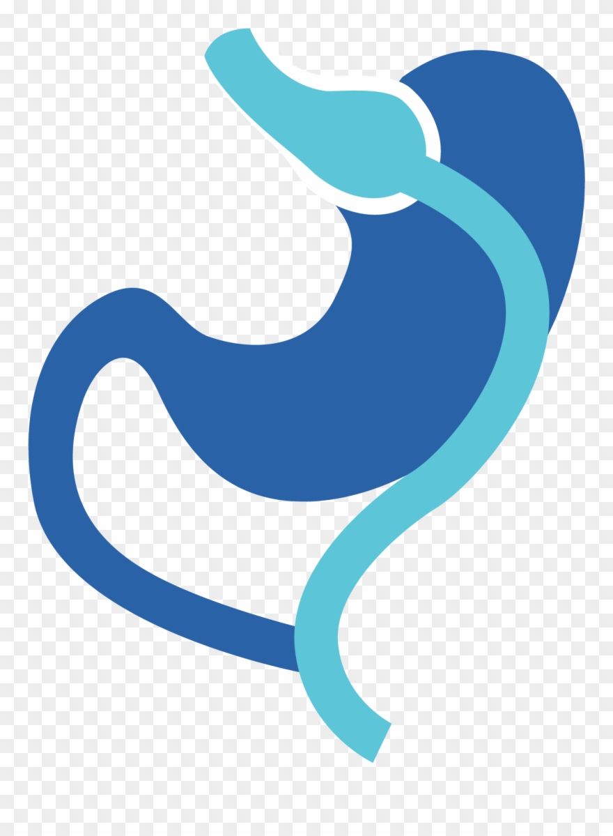 Avalon Weight Loss - Syncline Clipart