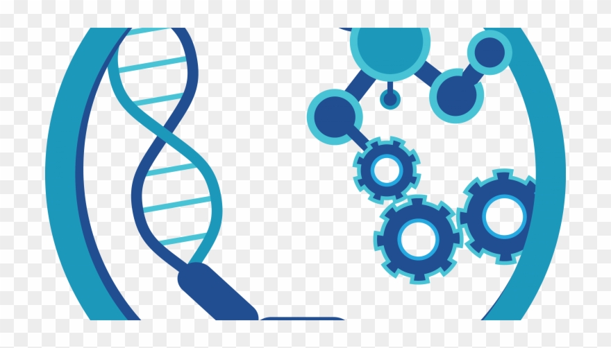 Microbiology Clipart Png Transparent Png