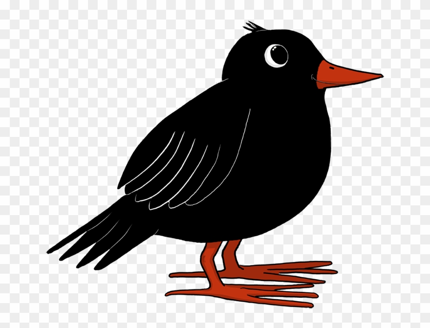 Bertie Blackbird - Old World Flycatcher Clipart
