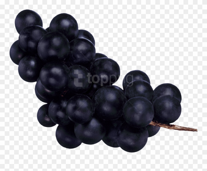 Free Png Download Black Grapes Png Images Background - Темный Виноград Png Clipart