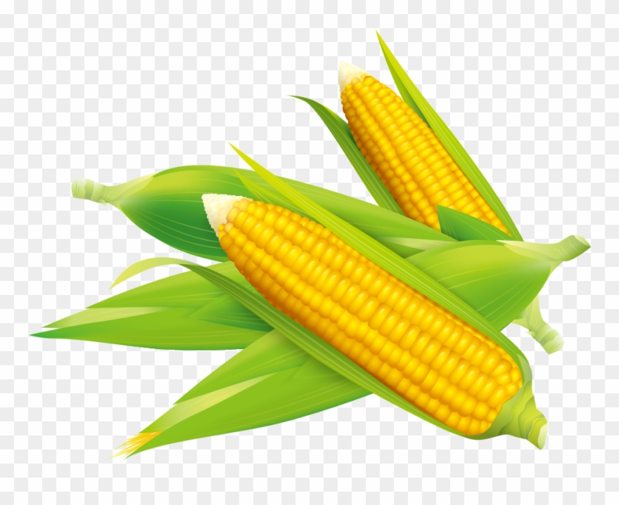 Corn Vector Flake - Corn Vector Png Clipart