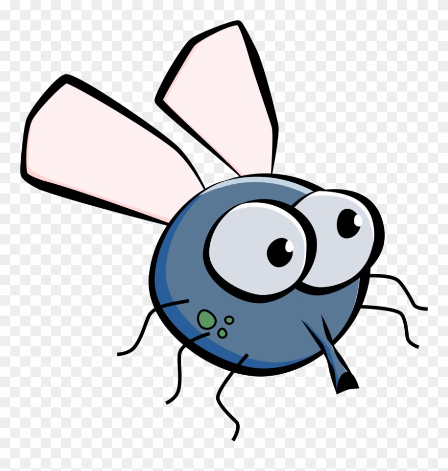 Fly Cartoon Clipart