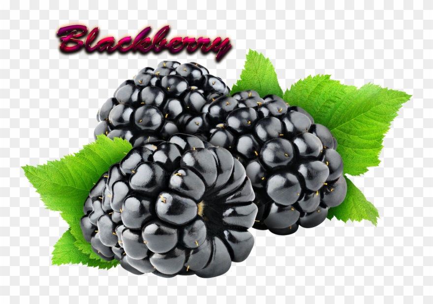 Blackberry Download Png - Blackberry Fruit Png Clipart