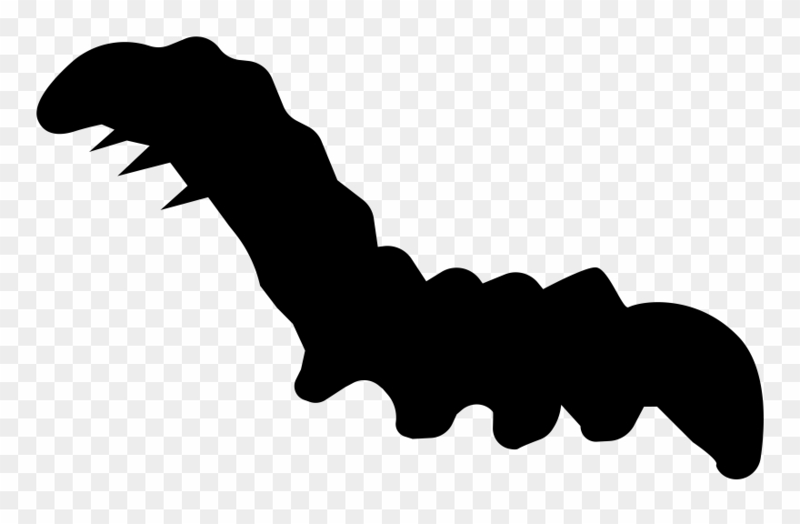 Hight Resolution Of Is The Body Form Of The Insect - Caterpillar Clipart