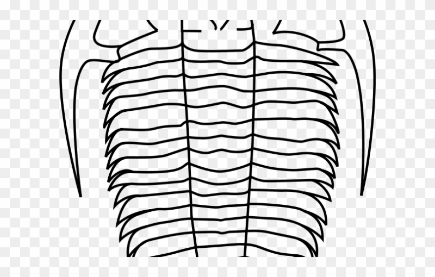 Trilobite Cliparts - Black And White Trilobite Fossil - Png Download