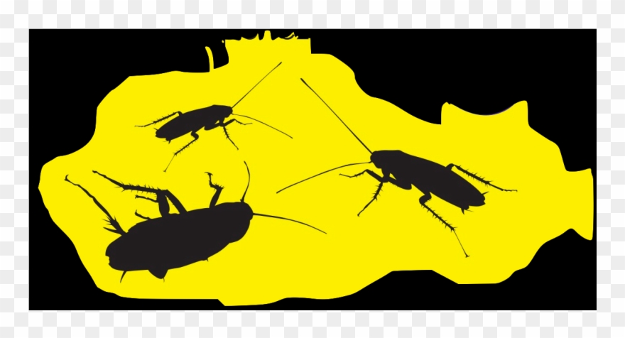 Cucarachas - Illustration Clipart