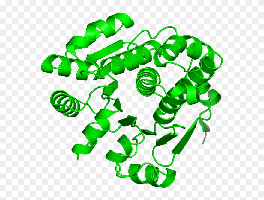 <div Class='caption-body'>1 Copy Of Cath Domain < - Illustration Clipart