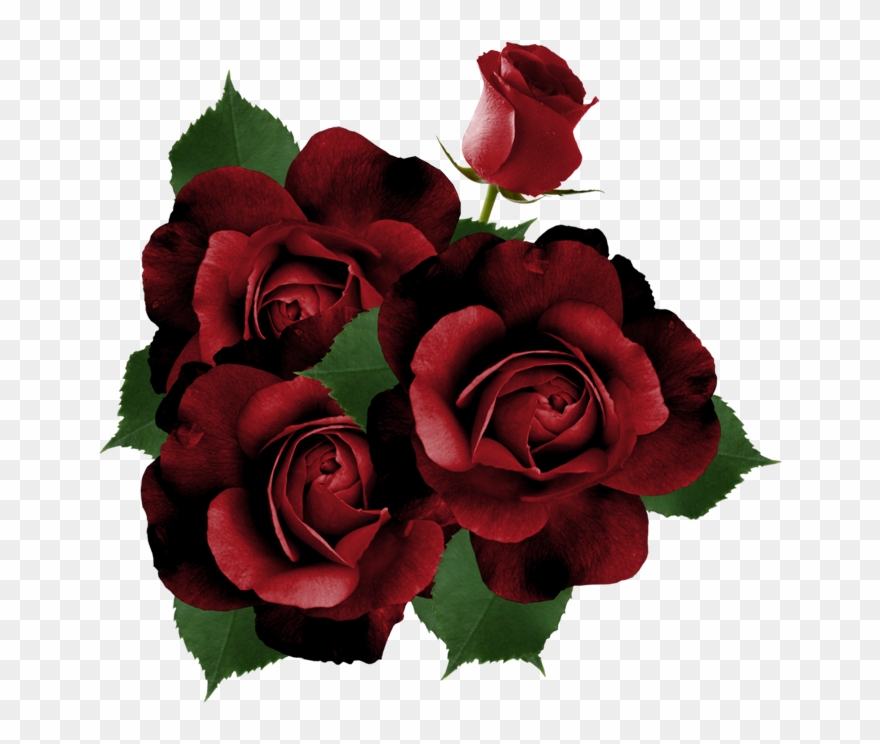 ♛ Christine Staniforth ♛༻ - Clip Art - Png Download