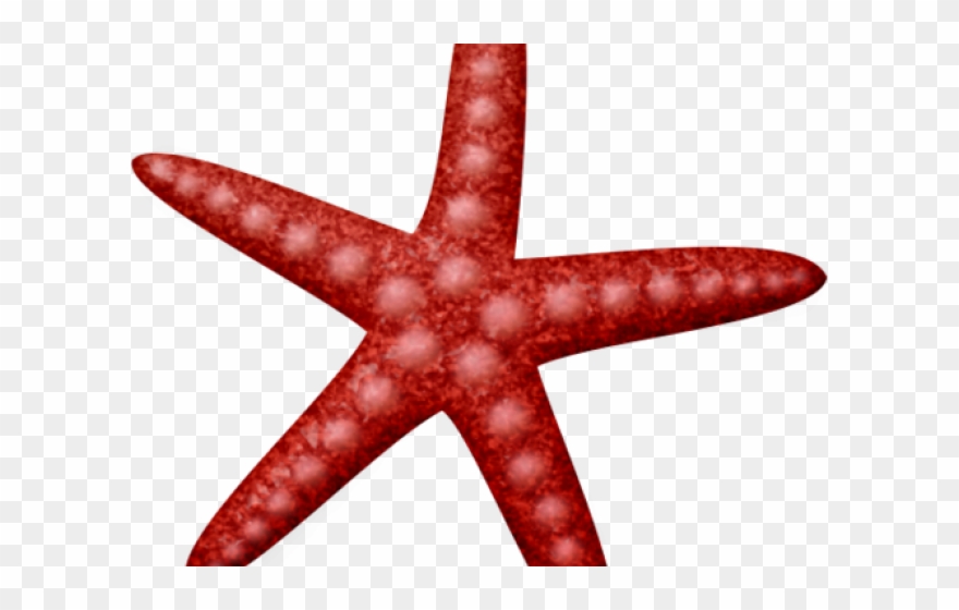 Starfish Clipart