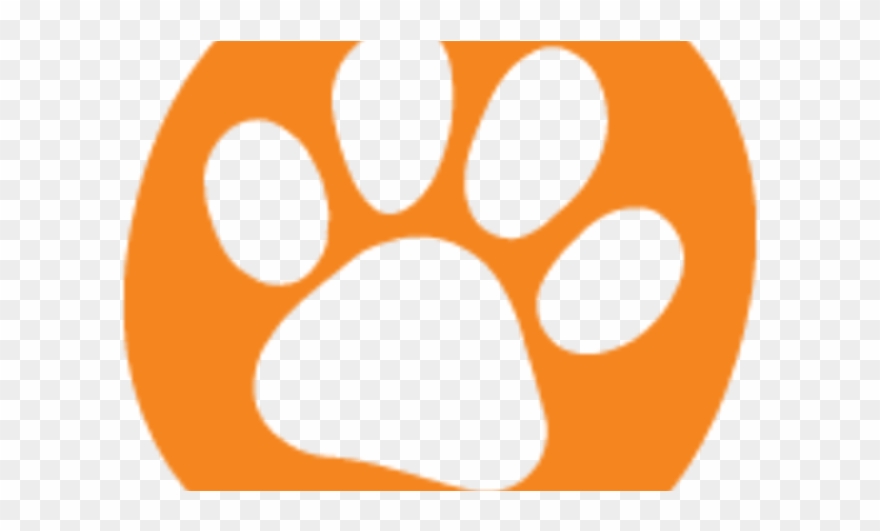 Circle Clipart